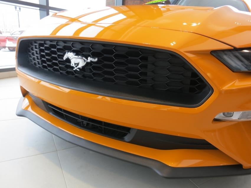 Ford Mustang 2019 Cabrio in USA