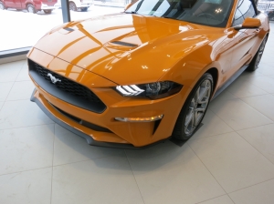 Ford Mustang 2019 Cabrio in USA