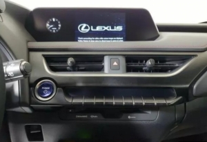 2020 Lexus UX 250h F Sport из СШАt